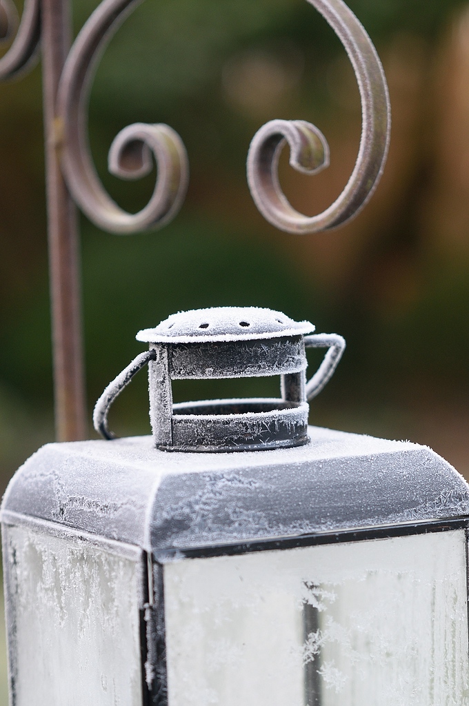 KR DSC 5841