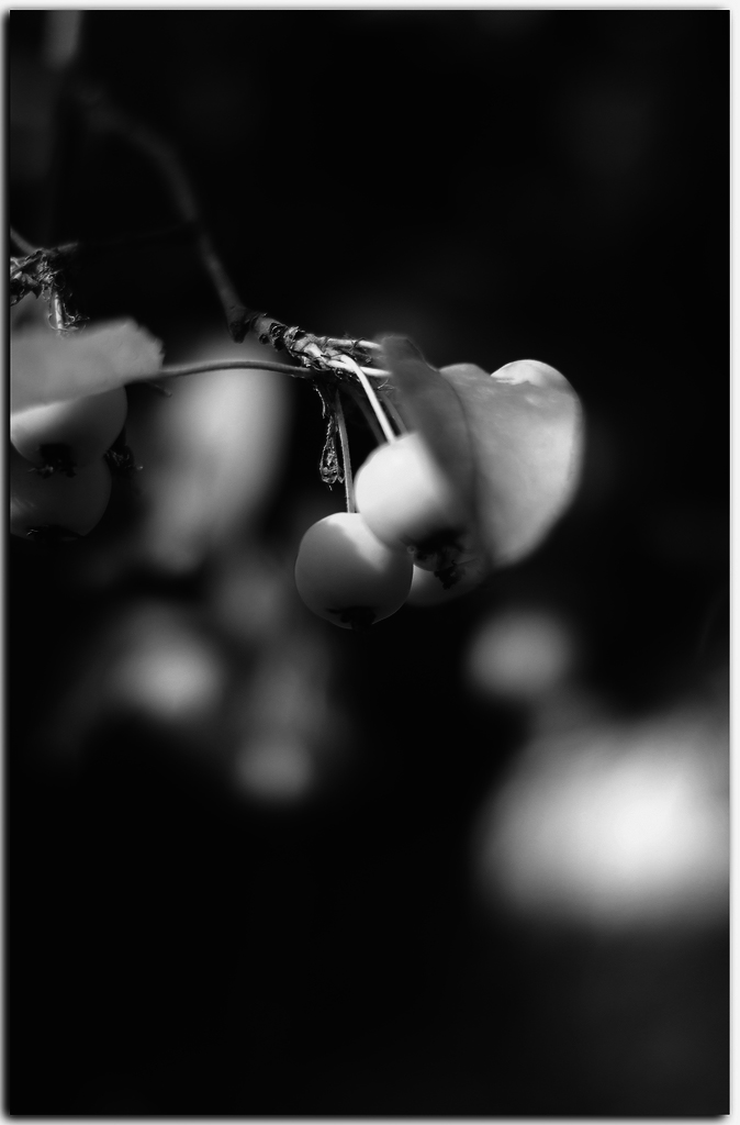 KR DSC 5848 1 SW