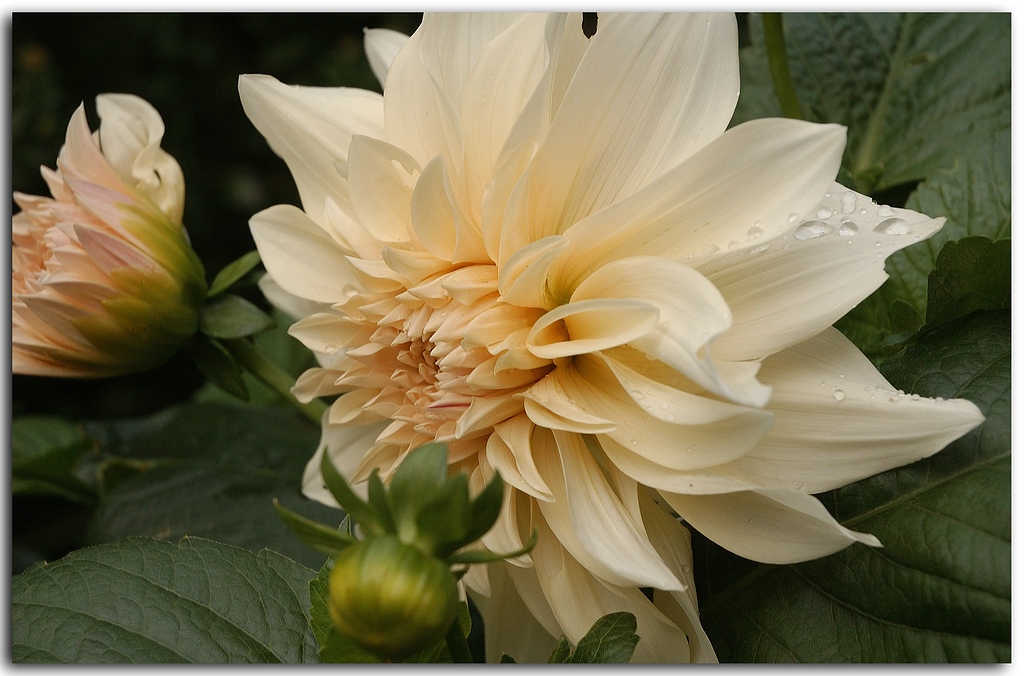 KR DSC 6848 01 h