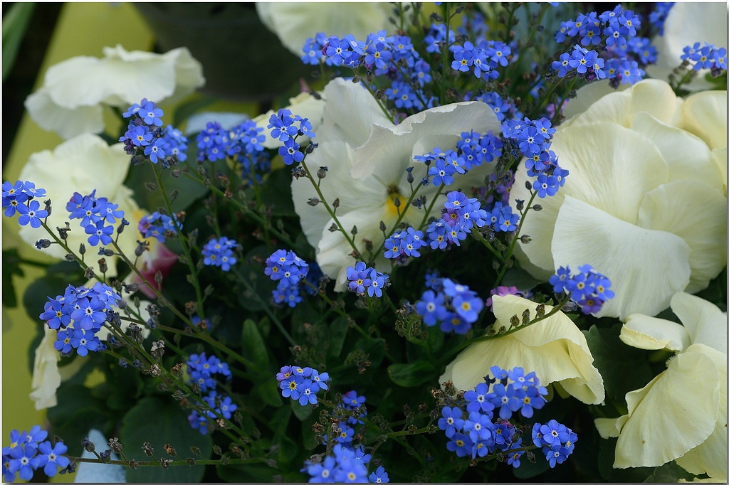 KR DSC 8597 1