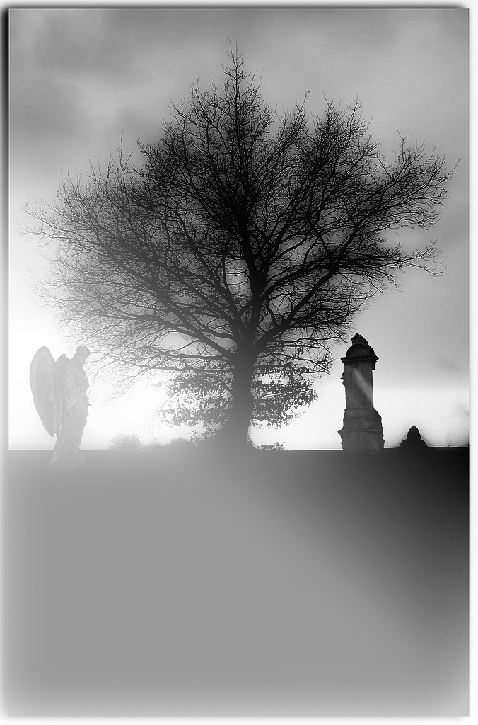KR Halloween 2