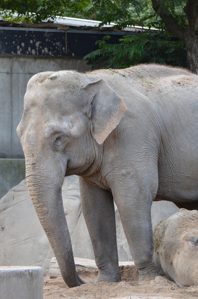 Krefelder Zoo 19 04 12 10