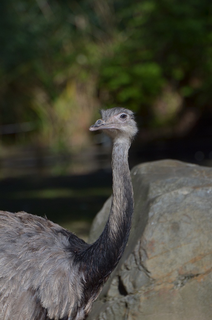 Krefelder Zoo 19 04 12 4