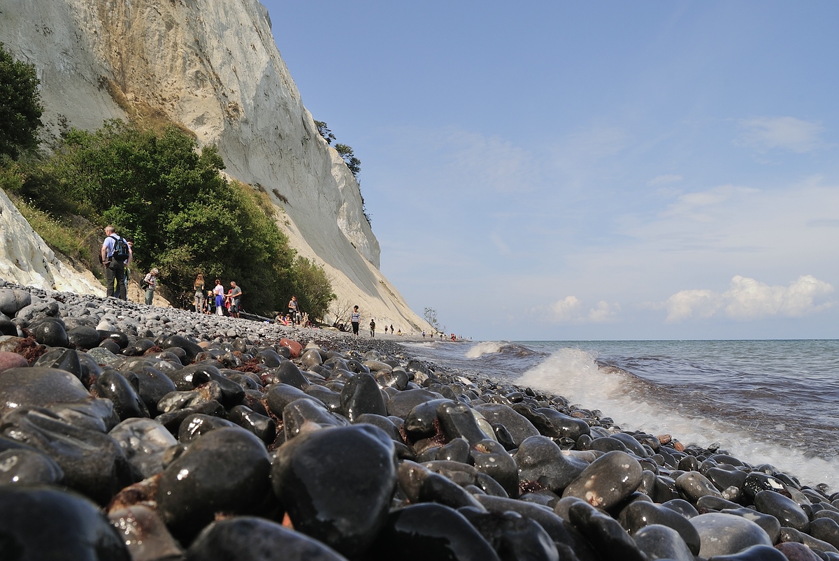 Kreidefelsen bei Møns Klint Dänemark 2014 (117)