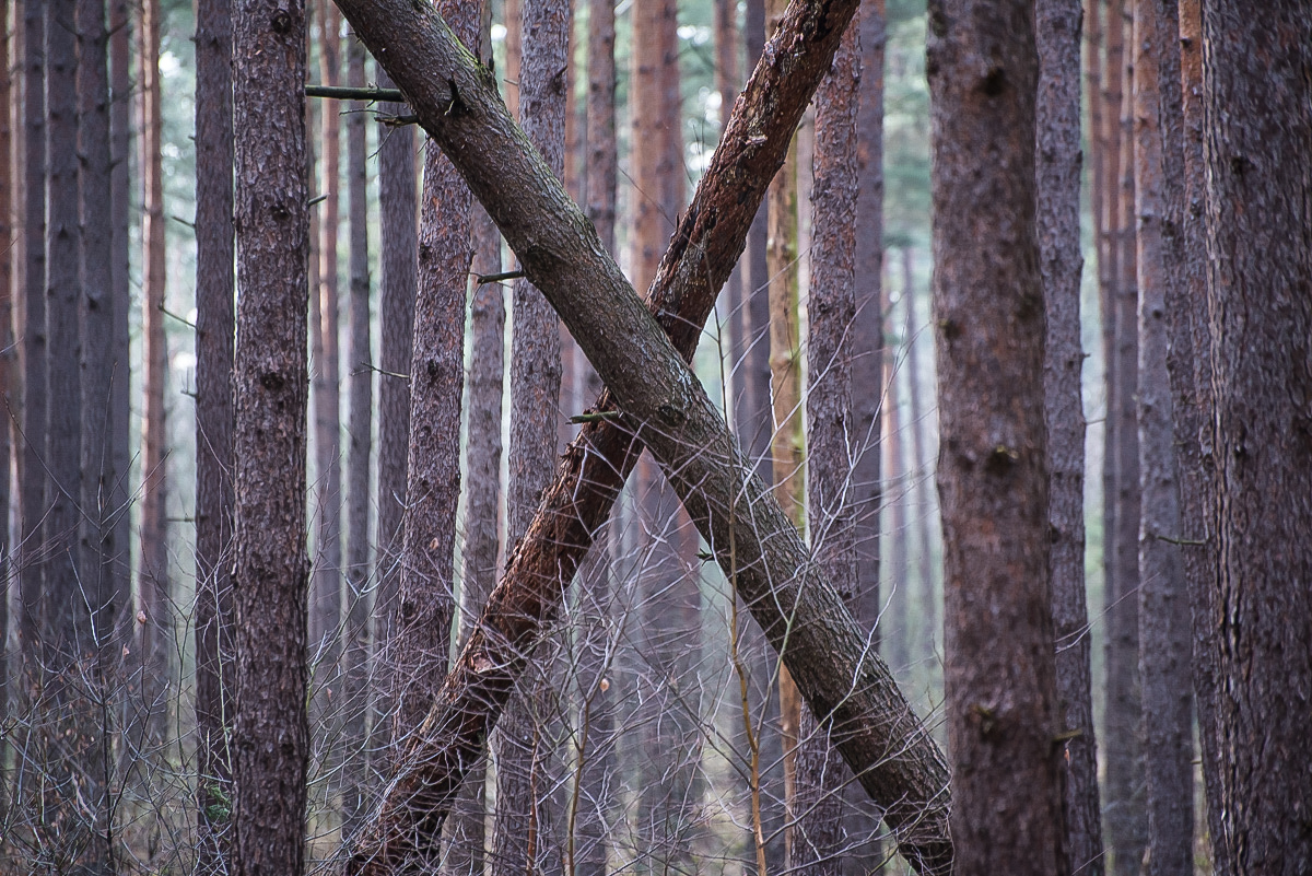 Kreuz und Quer (1 von 1).JPG