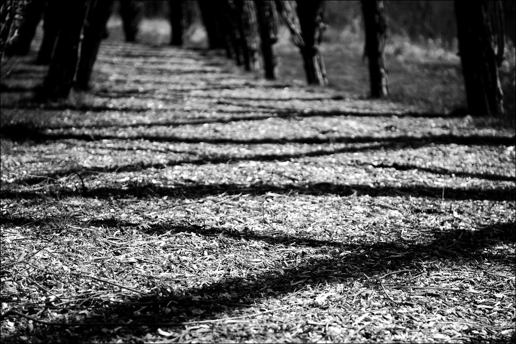 Kreuzweg 17.04.2010
