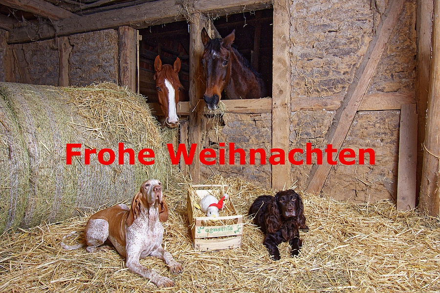 Krippenspiel