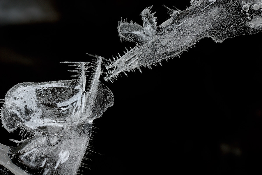 Kristalmaus 2