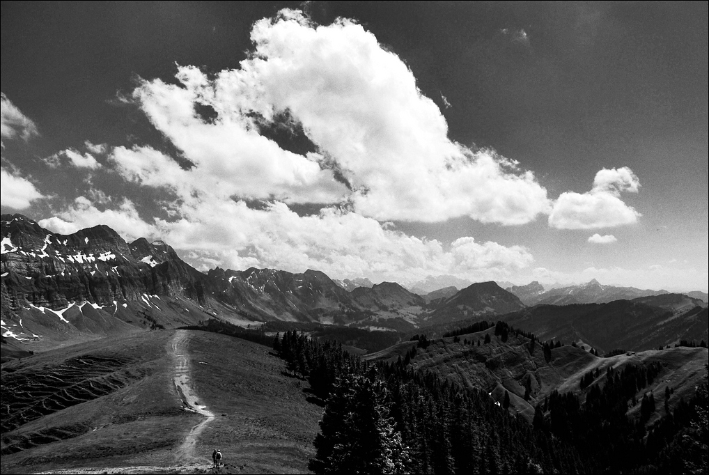 Kronberg unter dem Säntis (CH) 06/2009