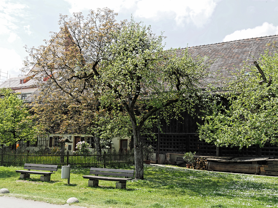 KSW01382.jpg