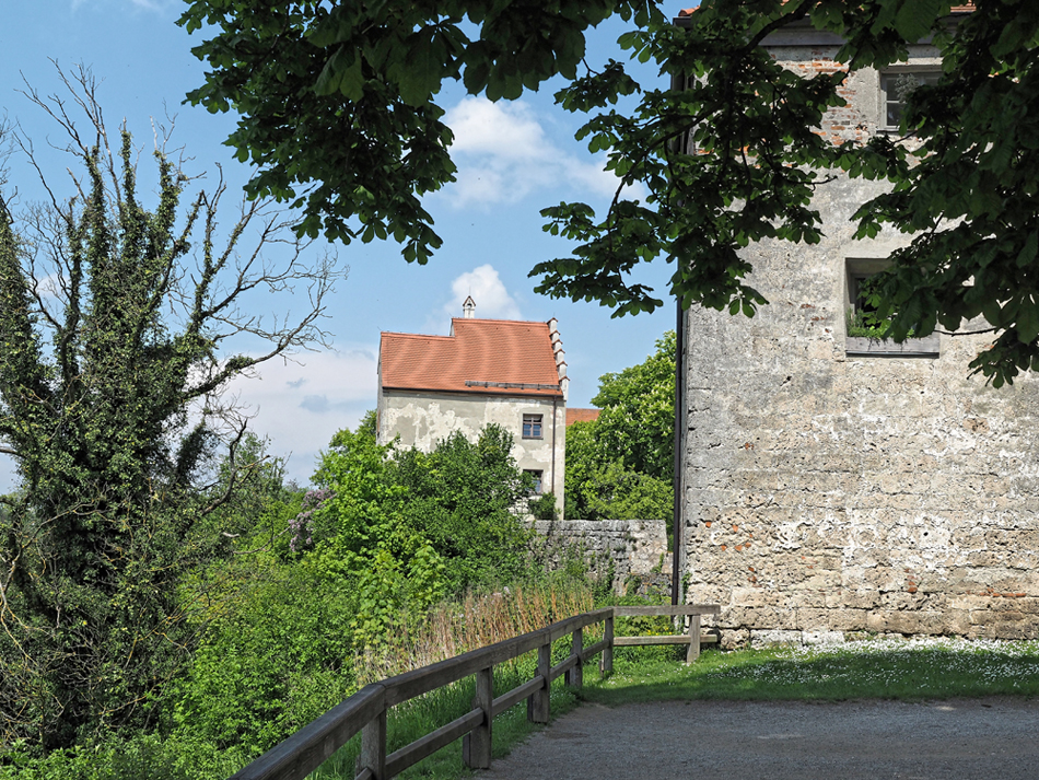 KSW01391.jpg