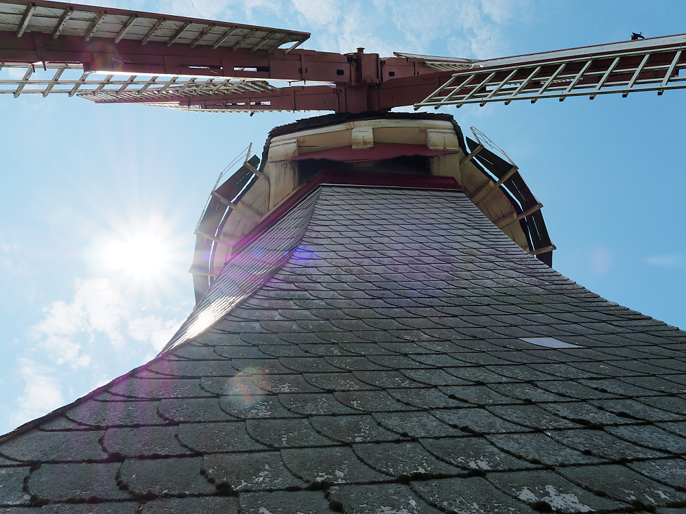 KSW03182.jpg