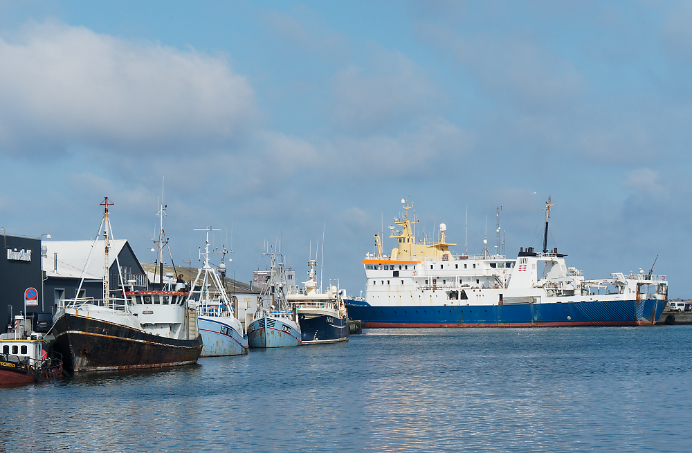 KSW03336.jpg
