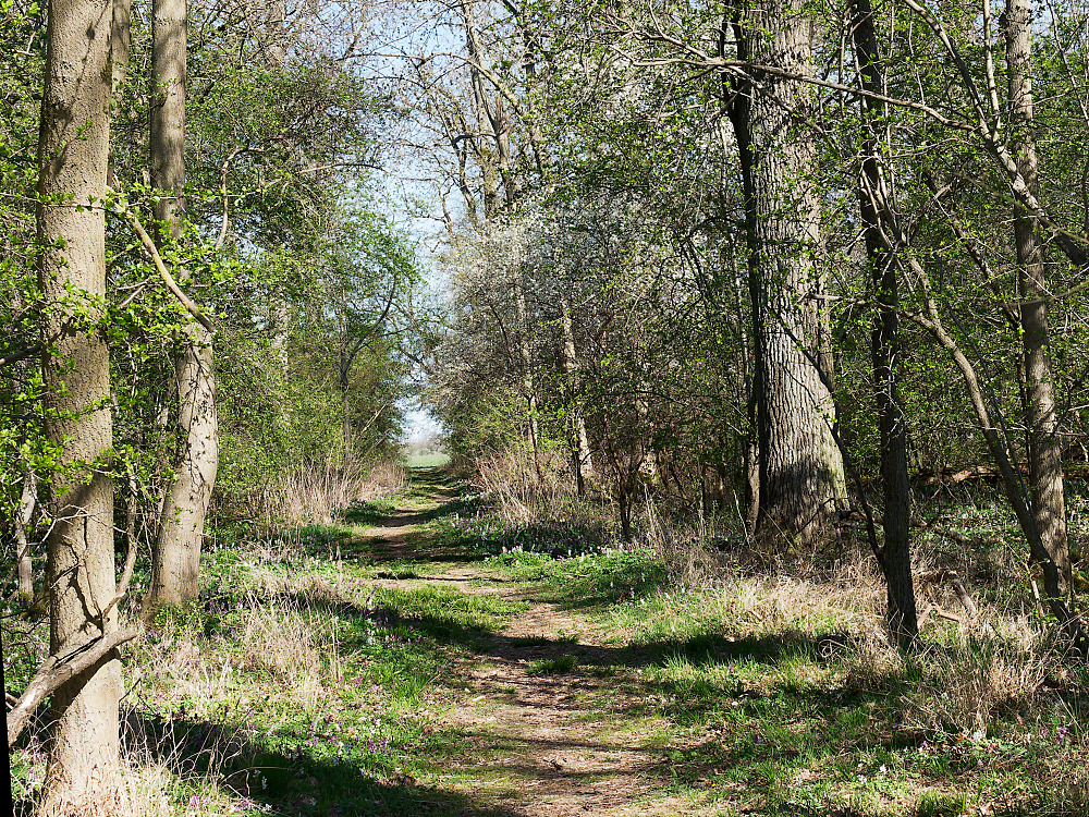 KSW03481.jpg