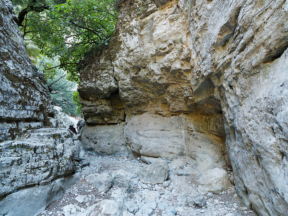 KSW04539.jpg