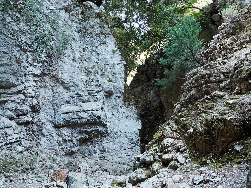 KSW04541.jpg