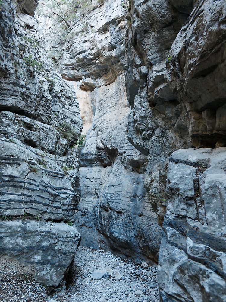KSW04545.jpg