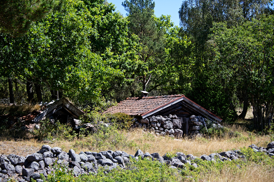 KSW_1074.jpg