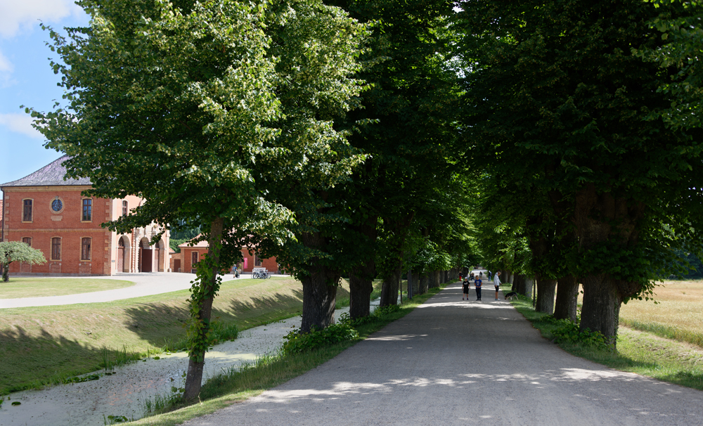 KSW_7270.jpg