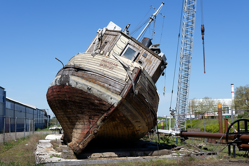 KSW_8743.jpg
