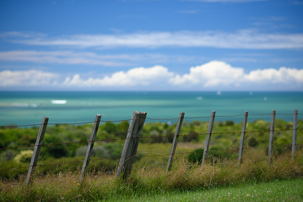 Kueste bei Paihia klein