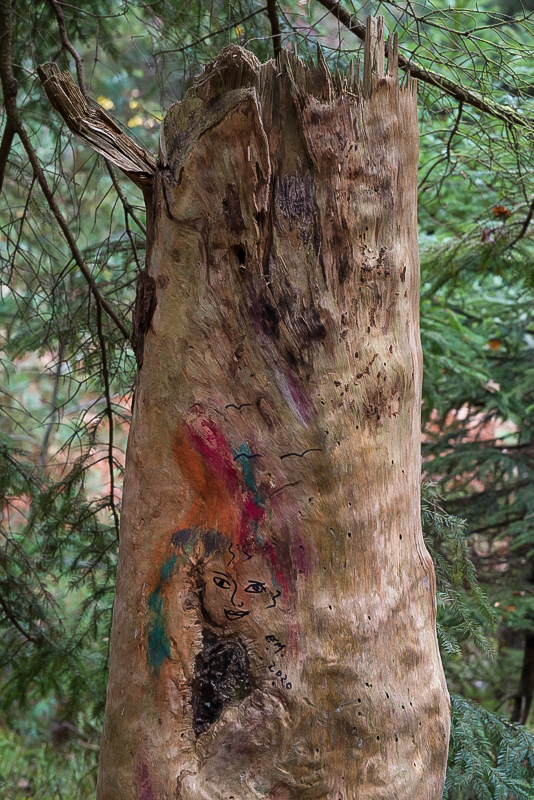Kunst am Baum (1 von 1).JPG