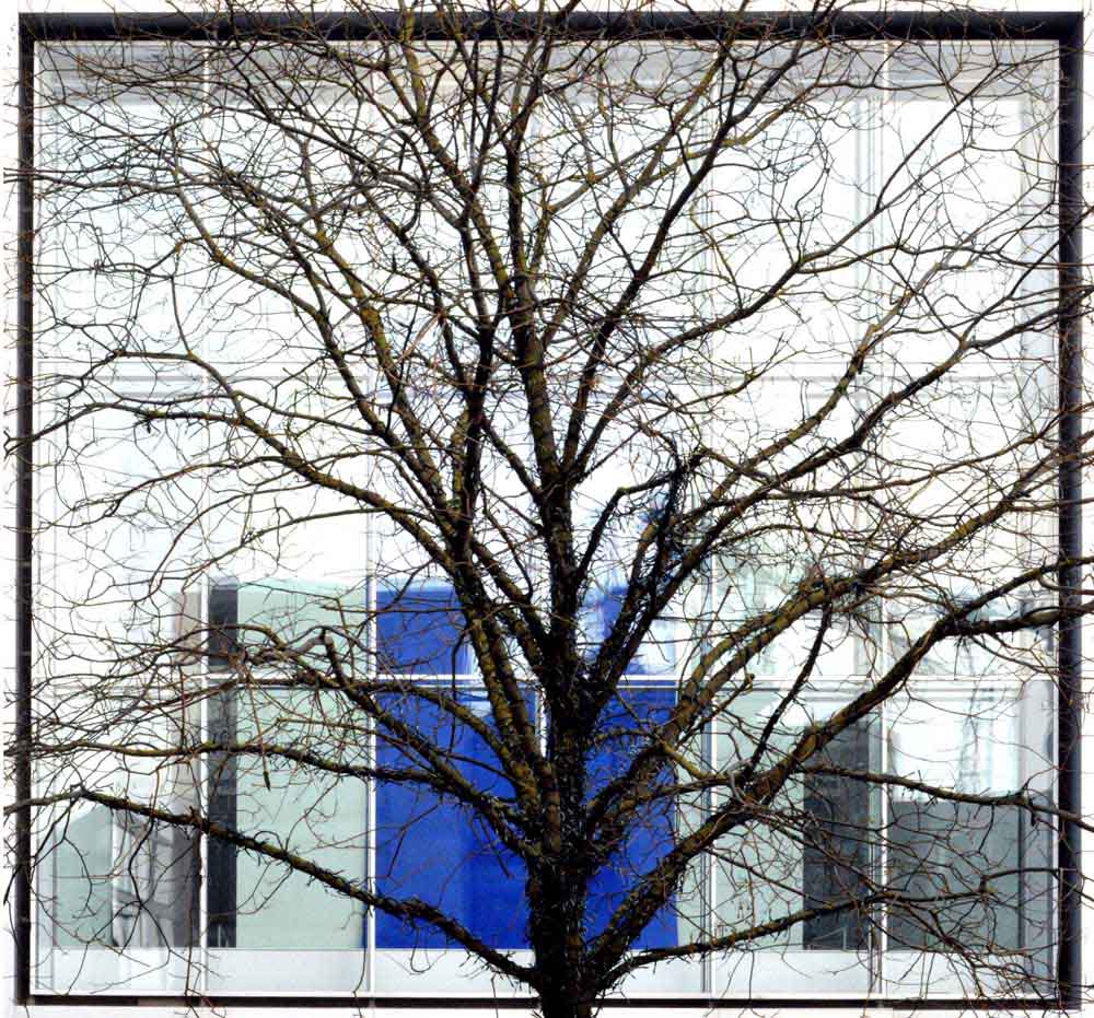 Kunsthalle Weisshaupt 1.OG