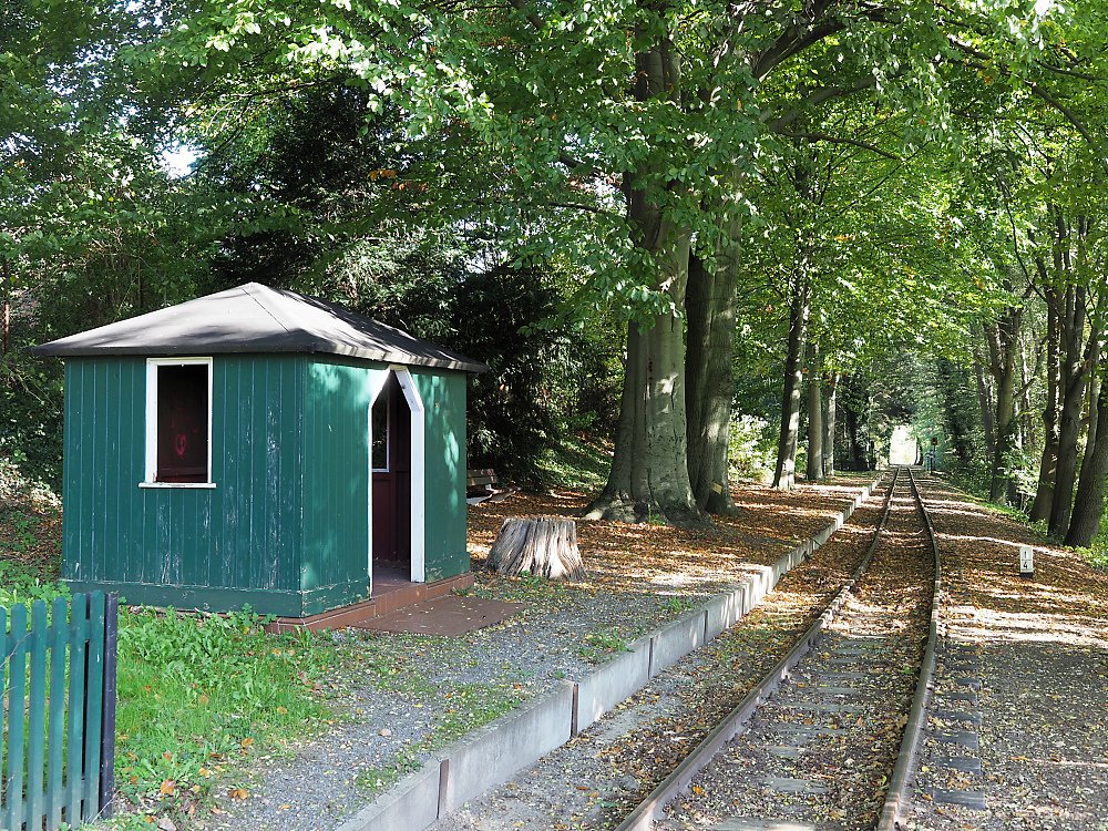 Kurpark.jpg