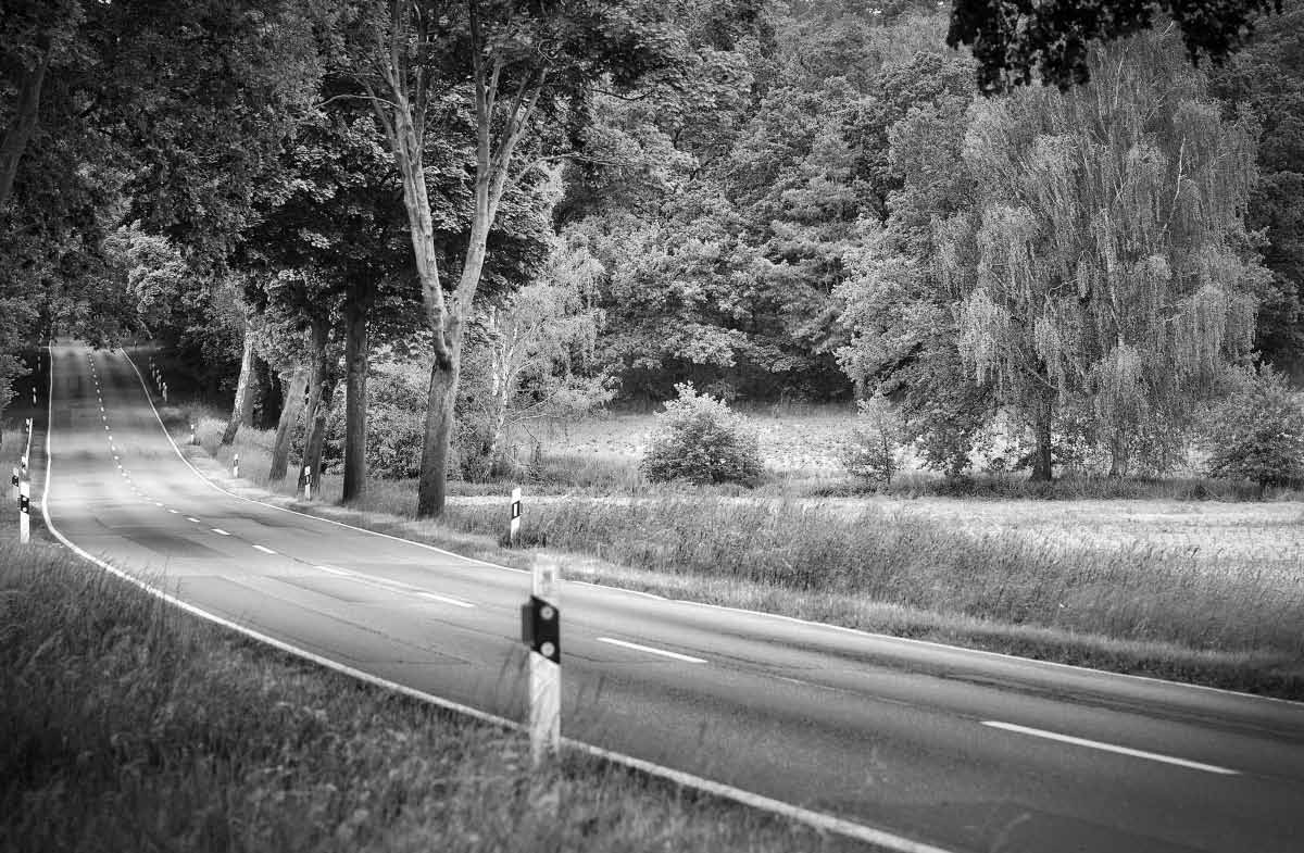 L 270 BW.jpg