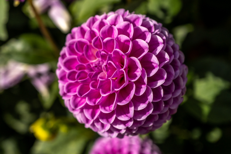 L1000353.jpg