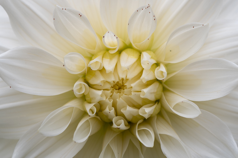 L1000424.jpg