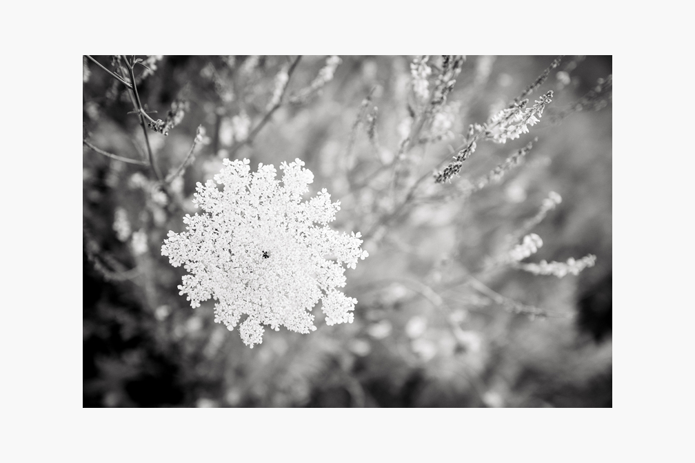 L1000915 Bearbeitet
