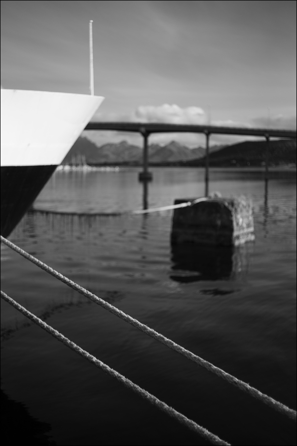 L1001451