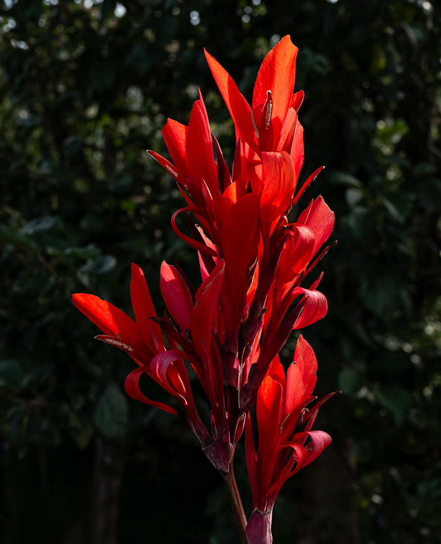 L1002692.jpg