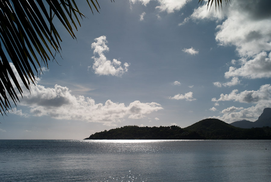 L1003094