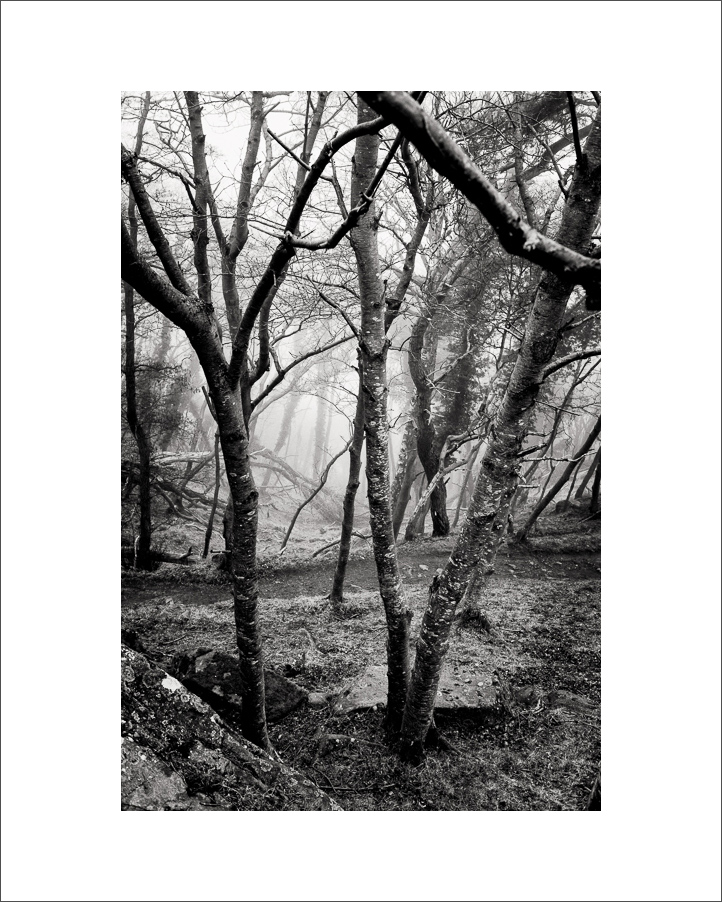 L1003368-Bearbeitet.JPG