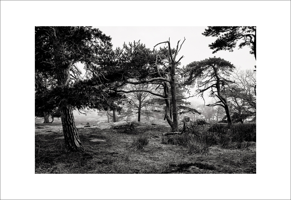 L1003388-Bearbeitet.JPG
