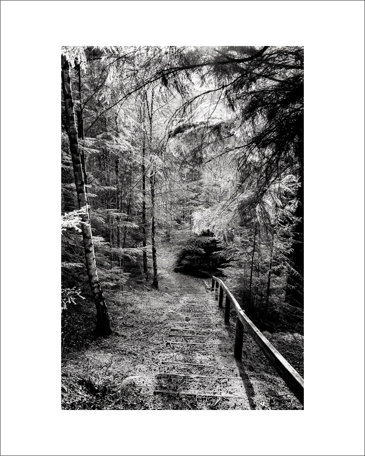 L1003580-Bearbeitet.JPG