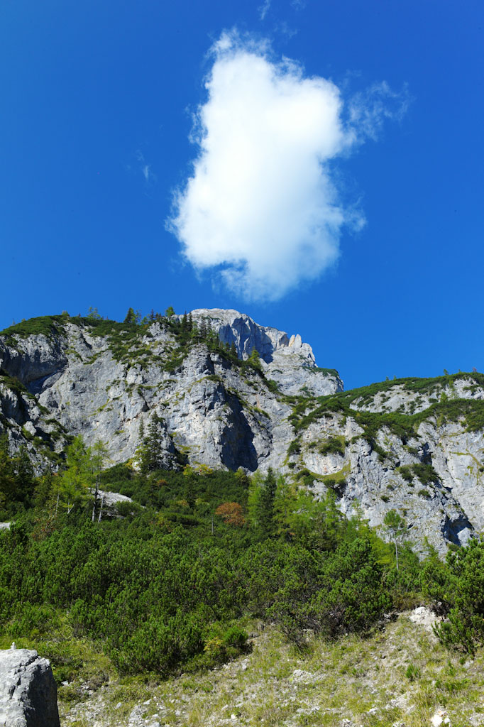 L1003642 4