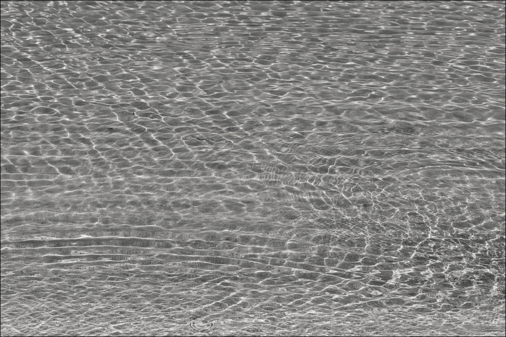 L1008624