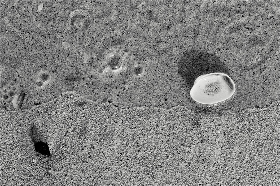 L1008629