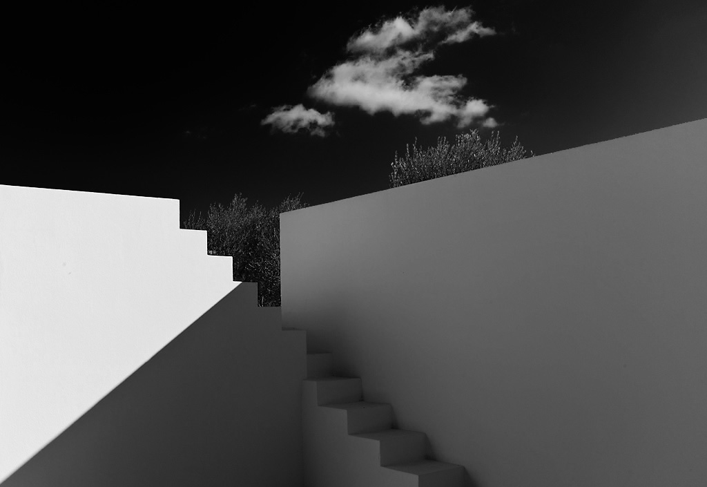 L1009878 sw