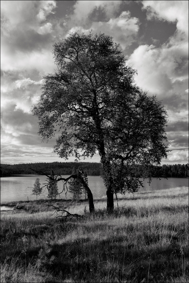 L1012091 Bearbeitet
