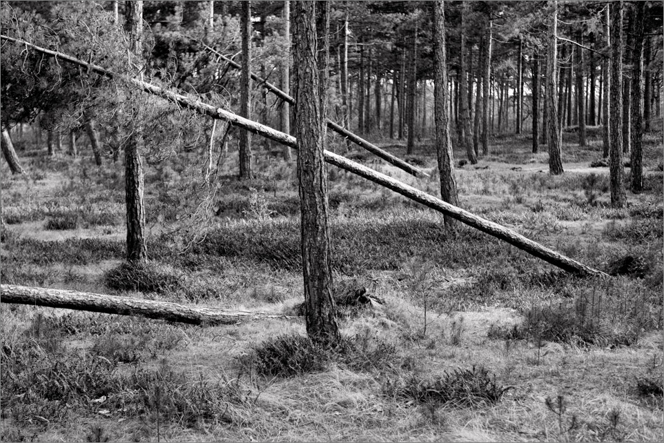 L1015722 Bearbeitet