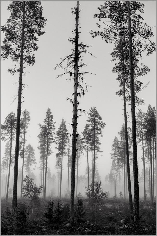 L1016174 Bearbeitet