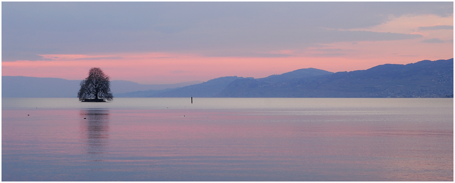 Lac Leman 007
