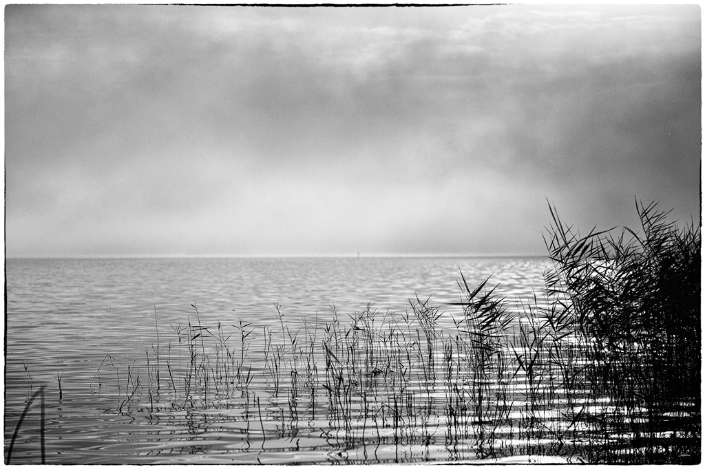 Lac PZ13492