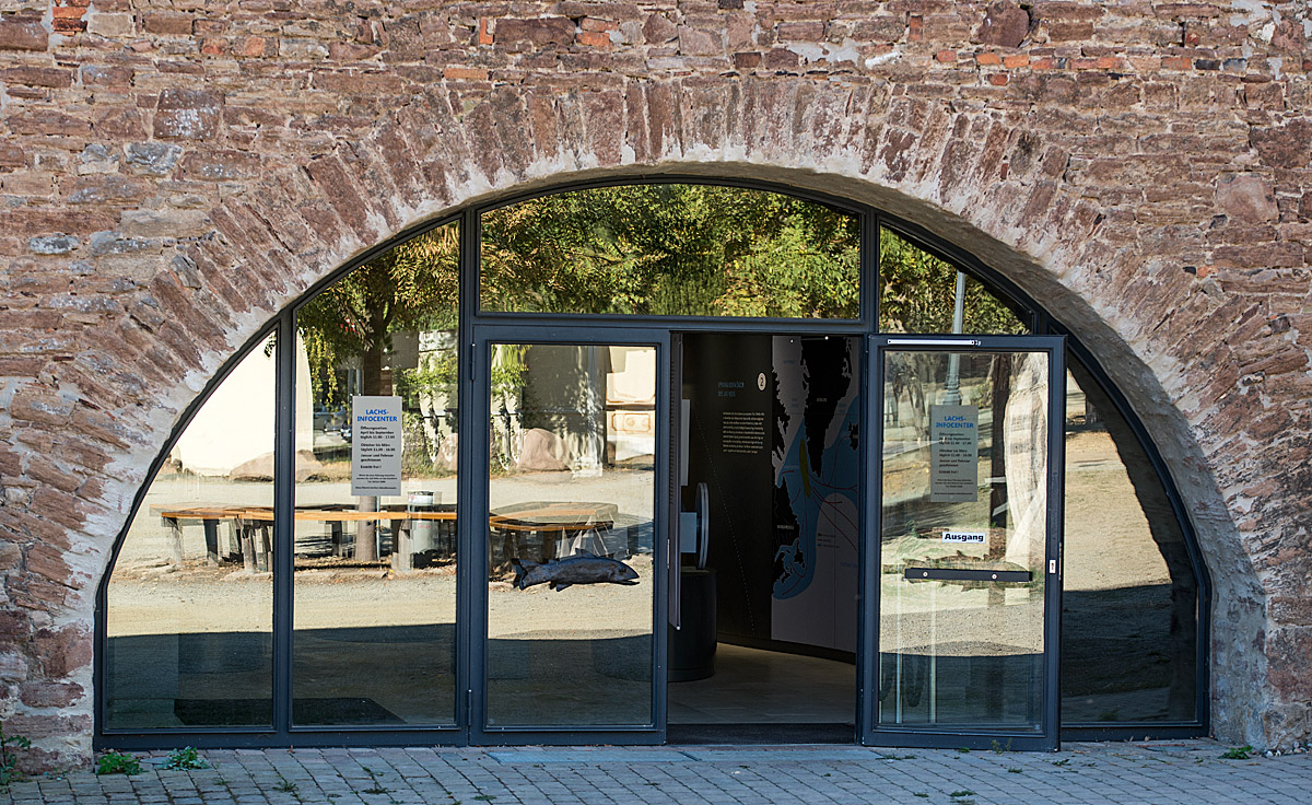 Lachs Infocenter
