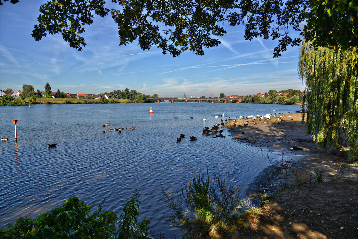 Ladenburg am neckar