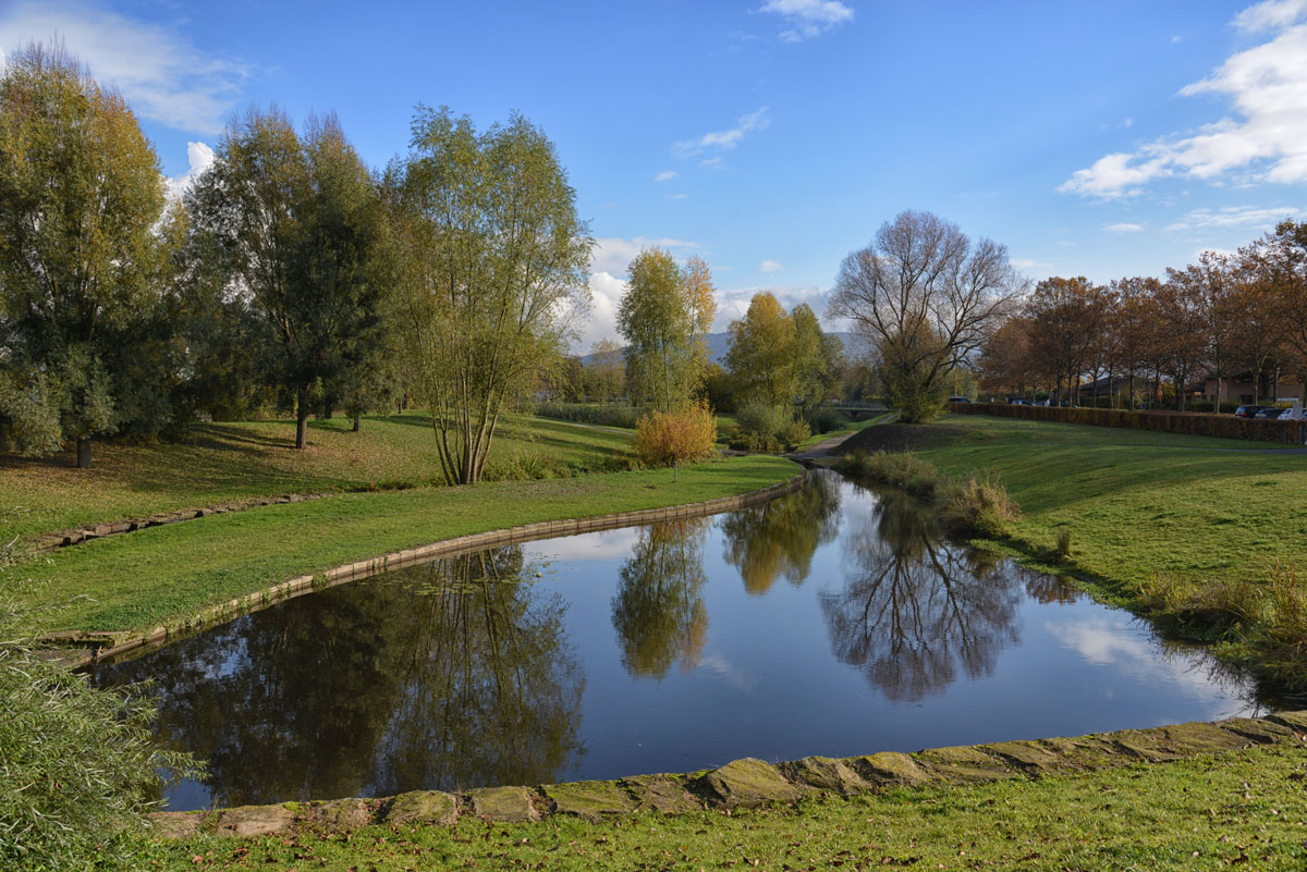 Ladenburg grünerring